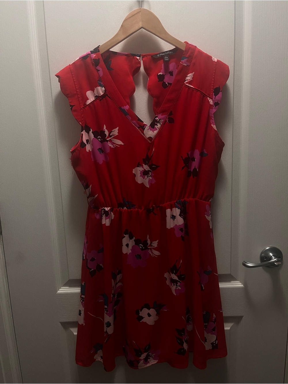 41 Hawthorn Red Floral V-Neck Sleeveless Mini Dress